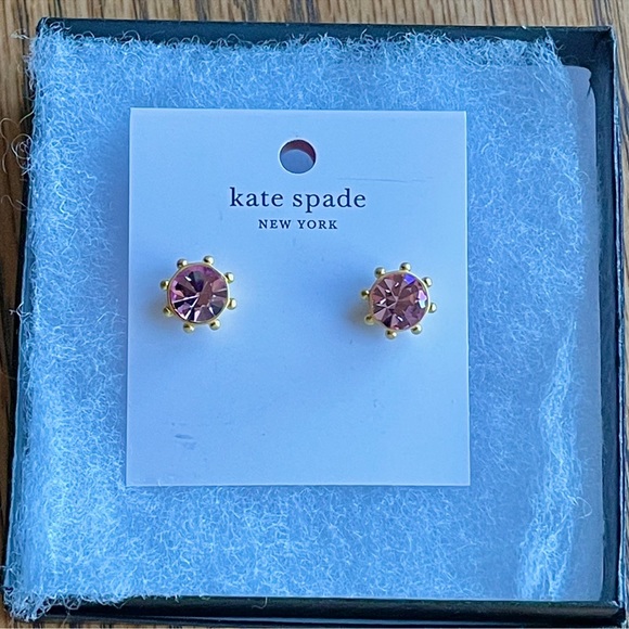 kate spade Jewelry Nwt Flying Colors Blush Pink Stud Earrings